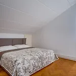 Leonida